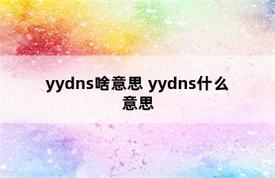 yydns啥意思 yydns什么意思